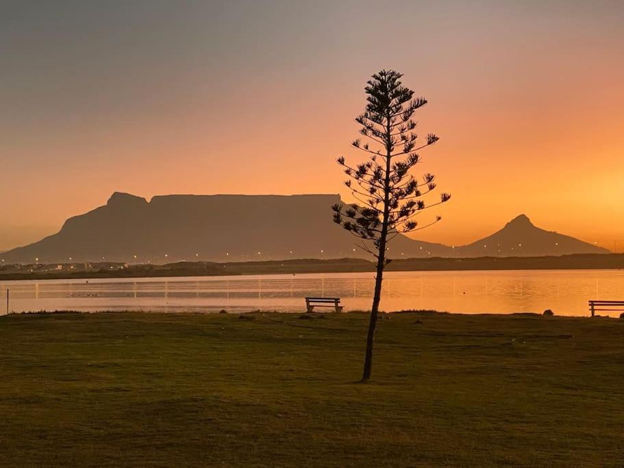 Flamingo Vlei Apartment Cape Town